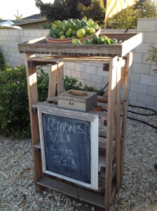 Our neighborhood fruit stand. 